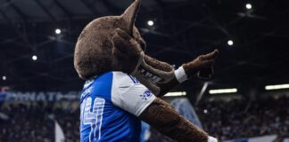 Cruzeiro x Bragantino: parcial é divulgada para o jogo no Mineirão