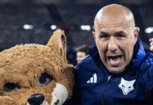 Cruzeiro tem uma das melhores campanhas do returno do Brasileirão