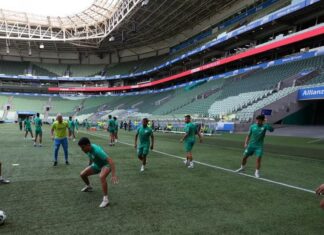 Palmeiras atualiza condição física de Khellven; veja detalhes – Nosso Palestra