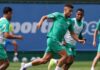Lucas Evangelista e Andreas Pereira se destacam em dupla de meio-campo no Palmeiras – Nosso Palestra