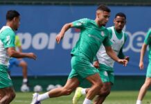 Lucas Evangelista e Andreas Pereira se destacam em dupla de meio-campo no Palmeiras – Nosso Palestra