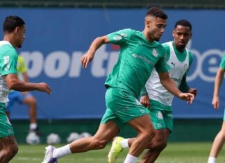 Lucas Evangelista e Andreas Pereira se destacam em dupla de meio-campo no Palmeiras – Nosso Palestra