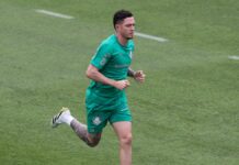 Aníbal Moreno tem mês intenso no Palmeiras e espera fechar com classificação na Libertadores – Nosso Palestra