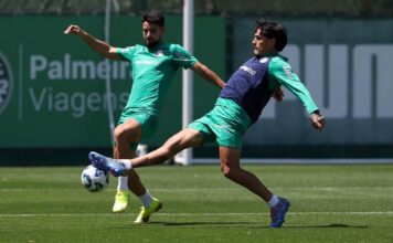 Escalação do Palmeiras: Verdão deve ter desfalques contra o Bahia – Nosso Palestra