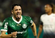 Piquerez faz publicação sobre condição física após sair lesionado em Palmeiras e Bahia; veja – Nosso Palestra