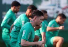 Escalação do Palmeiras: Verdão terá novidade diante do Vasco – Nosso Palestra