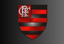Do amor ao desencanto: a visão de Rico Monteiro sobre a crise do jornalismo esportivo