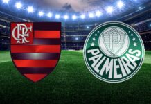 Flamengo vence Palmeiras em jogo de polêmicas, falhas e Pedro decisivo e esquenta briga pela liderança do Brasileirão