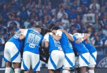 UFMG atualiza números e Cruzeiro segue com mais de 90% de chances de ir à Copa Libertadores de 2026; confira