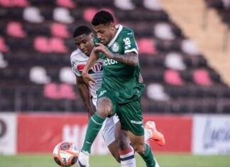 Palmeiras vence Botafogo-SP e larga na frente por vaga na semifinal do Paulista Sub-20 – Nosso Palestra