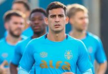 A grande dúvida de Mano Menezes para Bragantino x Grêmio