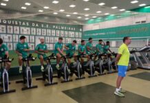 Palmeiras pode ter novidade contra Juventude; Ramón Sosa é diagnosticado com edema na coxa – Nosso Palestra
