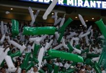 Palmeiras x Juventude: veja parcial de ingressos vendidos para jogo do Campeonato Brasileiro – Nosso Palestra