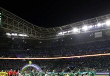 Palmeiras vive maior sequência de vítorias em casa entre clubes do Brasileirão – Nosso Palestra