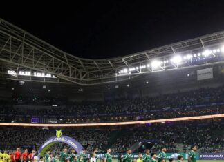 Palmeiras vive maior sequência de vítorias em casa entre clubes do Brasileirão – Nosso Palestra