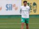 Saída de titulares e novo time: Palmeiras enfrenta Juventude com grandes mudanças por conta de alteração de data – Nosso Palestra