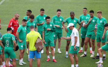 Entenda planejamento técnico e financeiro do Palmeiras para 2026 – Nosso Palestra