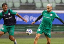 Com treino no Allianz Parque e sob chuva, Palmeiras fecha preparação para receber Juventude – Nosso Palestra