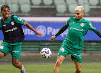 Com treino no Allianz Parque e sob chuva, Palmeiras fecha preparação para receber Juventude – Nosso Palestra