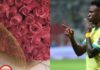 Vinícius Jr e Virgínia: Reconciliação em Foco após Desentendimentos e Pedidos de Desculpas