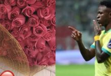 Vinícius Jr e Virgínia: Reconciliação em Foco após Desentendimentos e Pedidos de Desculpas
