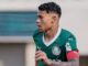 Conheça Luis Pacheco, volante de 17 anos que estreou pelo Palmeiras contra Juventude – Nosso Palestra