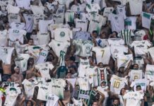 Palmeiras x Red Bull Bragantino: veja parcial de ingressos vendidos para jogo do Campeonato Brasileiro – Nosso Palestra