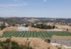 De olho no futuro, Atlético mira novos mercados e amplia busca por talentos na África e América do Sul