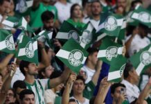 Mesmo com restrição, Palmeiras busca manter boa média de público no Allianz Parque – Nosso Palestra