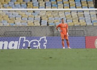 Goleiro com mais “clean sheets” na história, Fábio enfrentará o segundo pior ataque do Brasileirão – Fluminense: Últimas notícias, vídeos, onde assistir e próximos jogos