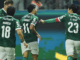Palmeiras supera número de vitórias da temporada 2024 – Nosso Palestra