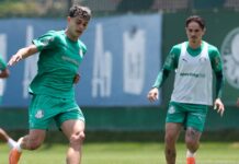 Palmeiras se reapresenta e prepara novidade para jogo contra Flamengo – Nosso Palestra