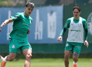 Palmeiras se reapresenta e prepara novidade para jogo contra Flamengo – Nosso Palestra