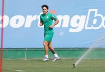 Palmeiras prepara retornos para jogo contra Flamengo – Nosso Palestra