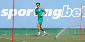 Palmeiras prepara retornos para jogo contra Flamengo – Nosso Palestra