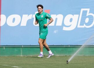 Palmeiras prepara retornos para jogo contra Flamengo – Nosso Palestra