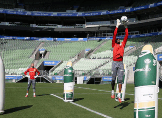 Lomba ou Carlos Miguel contra o Flamengo? Sem Weverton, Abel testa novo goleiro do Palmeiras para ‘final’ do Brasileirão