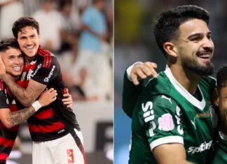 Rivalidade em Alta: Flamengo e Palmeiras Precisam Redefinir o Foco no Futebol