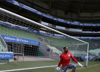 ‘Camisa 1 no Palmeiras tem sido rara e com último momento decisivo no Maracanã’ – Nosso Palestra