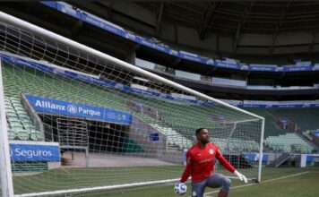 ‘Camisa 1 no Palmeiras tem sido rara e com último momento decisivo no Maracanã’ – Nosso Palestra