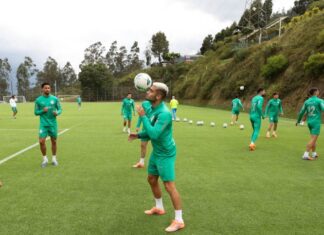 Escalação do Palmeiras: Abel deve repetir formação que atuou diante do Flamengo – Nosso Palestra