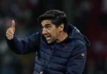 Palmeiras tenta se recuperar contra o Cruzeiro no Allianz