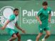 A pedido de Abel Ferreira, trio do sub-20 do Palmeiras fica no profissional – Nosso Palestra