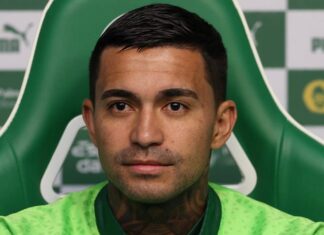 Dudu, ex-Palmeiras, revela torcida por virada na Libertadores: ‘Espero que eles se classifiquem’ – Nosso Palestra