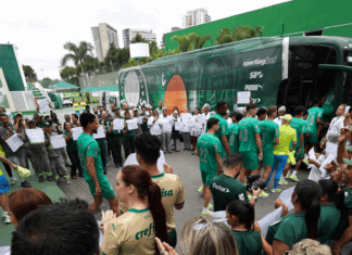 Funcionários do Palmeiras preparam surpresa para jogadores e Abel antes de decisão na Libertadores
