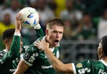 Histórico! Palmeiras reverte desvantagem contra a LDU e se classifica à final da Libertadores – Nosso Palestra