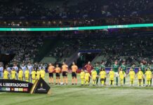 Palmeiras bate meta anual e ultrapassa R$ 56 milhões líquidos com receita de ingressos – Nosso Palestra