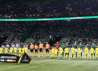 Palmeiras bate meta anual e ultrapassa R$ 56 milhões líquidos com receita de ingressos – Nosso Palestra