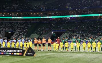 Palmeiras bate meta anual e ultrapassa R$ 56 milhões líquidos com receita de ingressos – Nosso Palestra