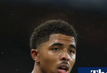 Chelsea defender Wesley Fofana gets driving ban for speeding on hard shoulder